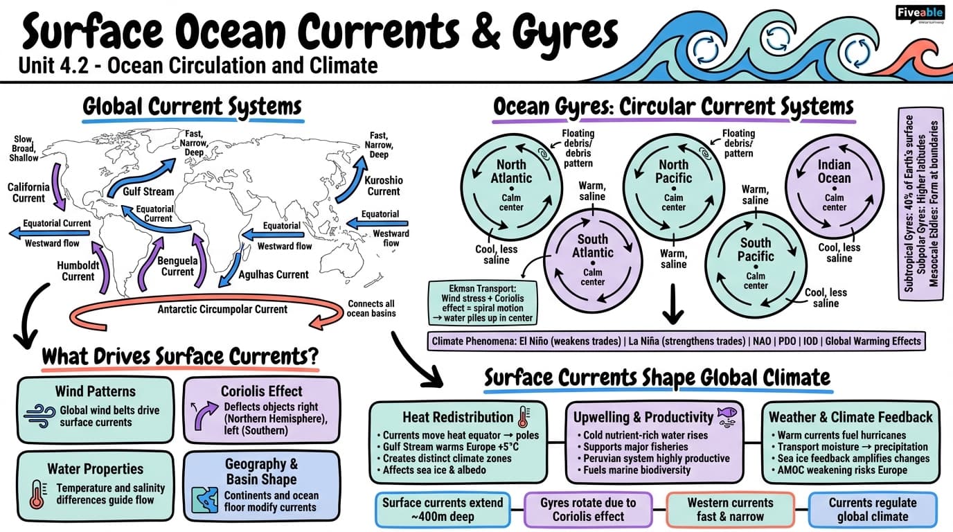 4.2 Surface ocean currents and gyres - Climatology - Unit 4 visual cheatsheet