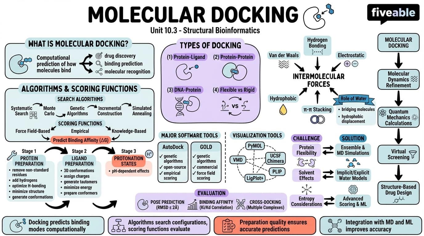 10.3 Molecular docking - Bioinformatics - Unit 10 visual cheatsheet