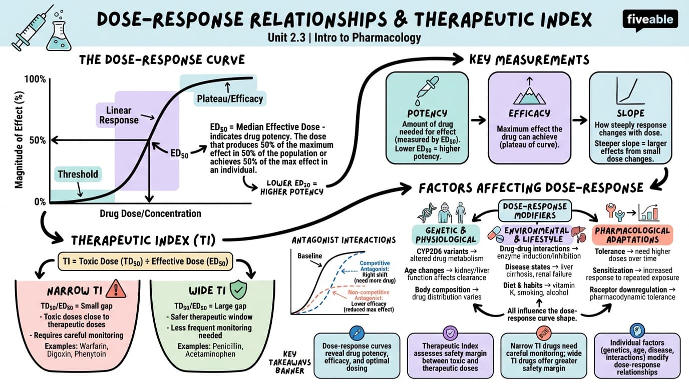 2.3 Dose-response relationships and therapeutic index - Intro to Pharmacology - Unit 2 visual cheatsheet