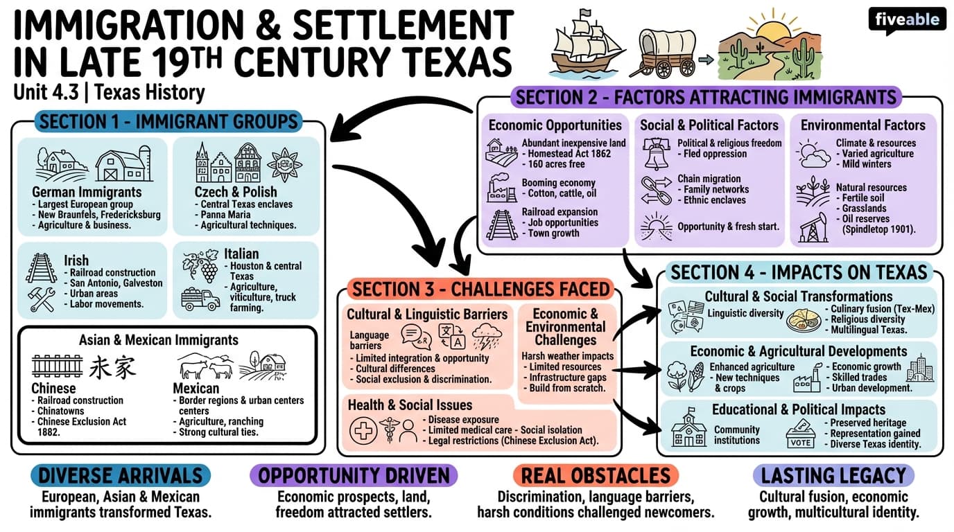 4.3 Immigration and settlement patterns in Texas - Texas History - Unit 4 visual cheatsheet