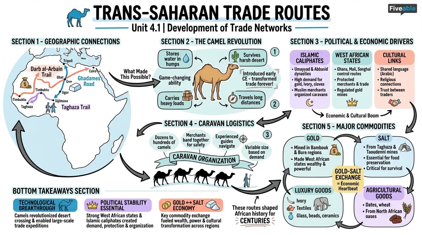 4.1 Development of trans-Saharan trade routes - History of Africa – Before 1800 - Unit 4 visual cheatsheet