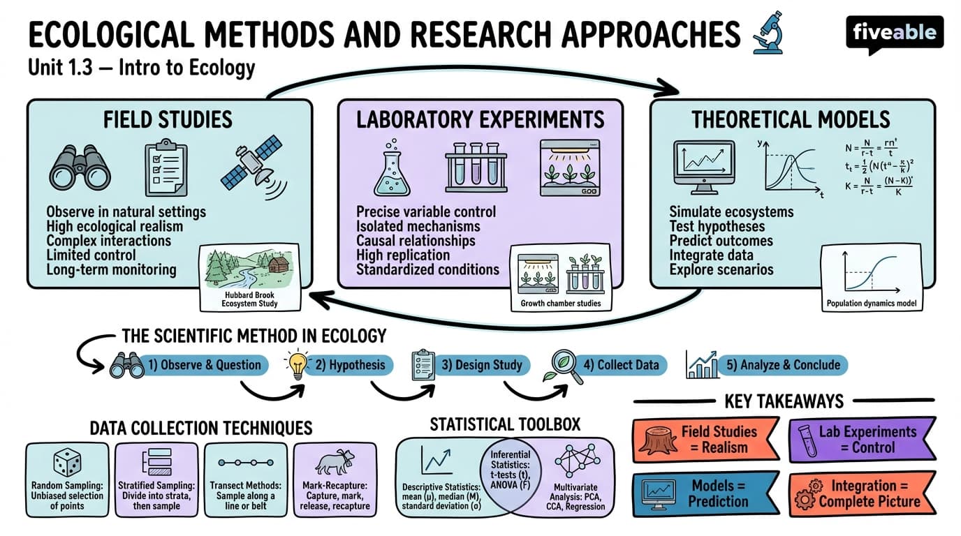 1.3 Ecological Methods and Research Approaches - Intro to Ecology - Unit 1 visual cheatsheet