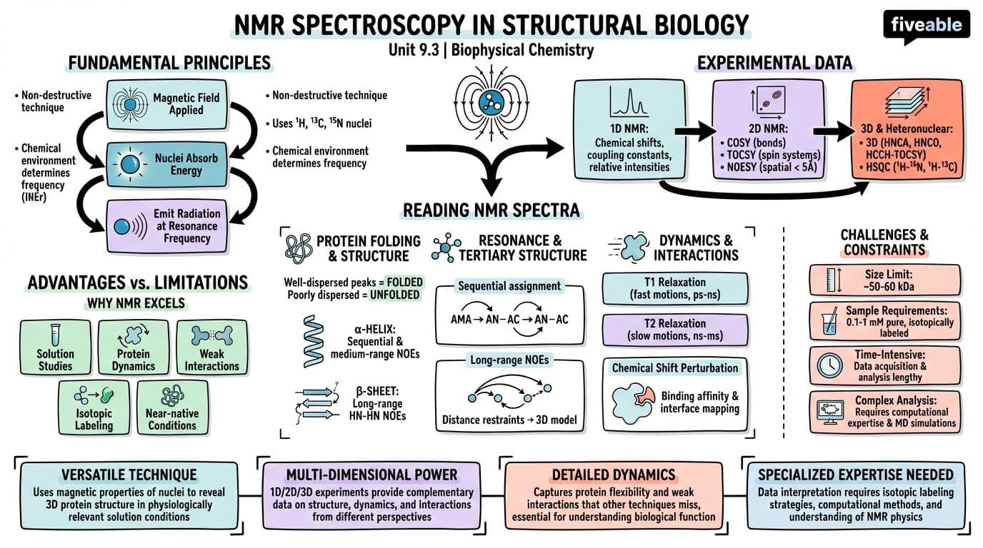 9.3 NMR spectroscopy in structural biology - Biophysical Chemistry - Unit 9 visual cheatsheet
