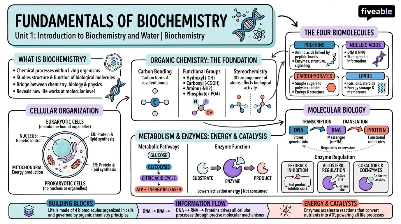 1.1 Fundamentals of Biochemistry - Biochemistry - Unit 1 visual cheatsheet