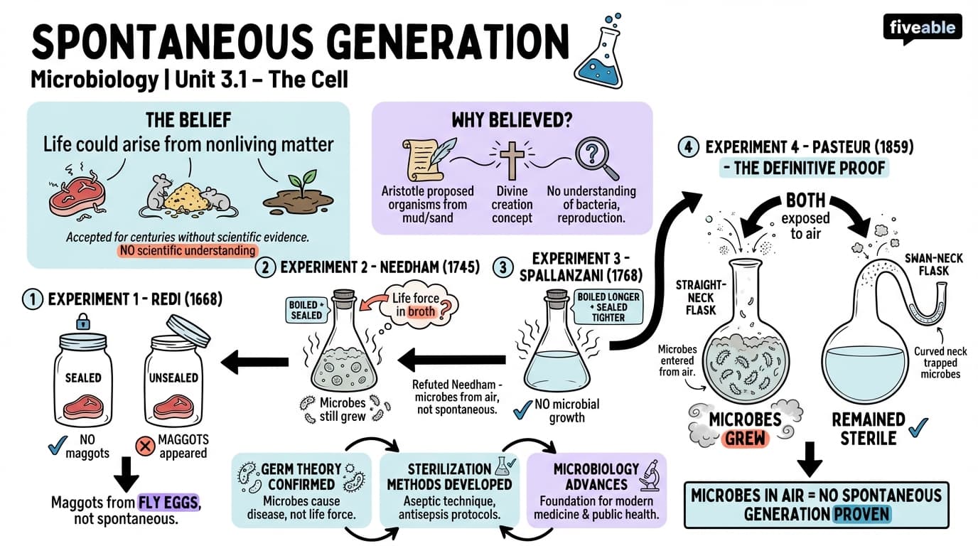 3.1 Spontaneous Generation - Microbiology - Unit 3 visual cheatsheet