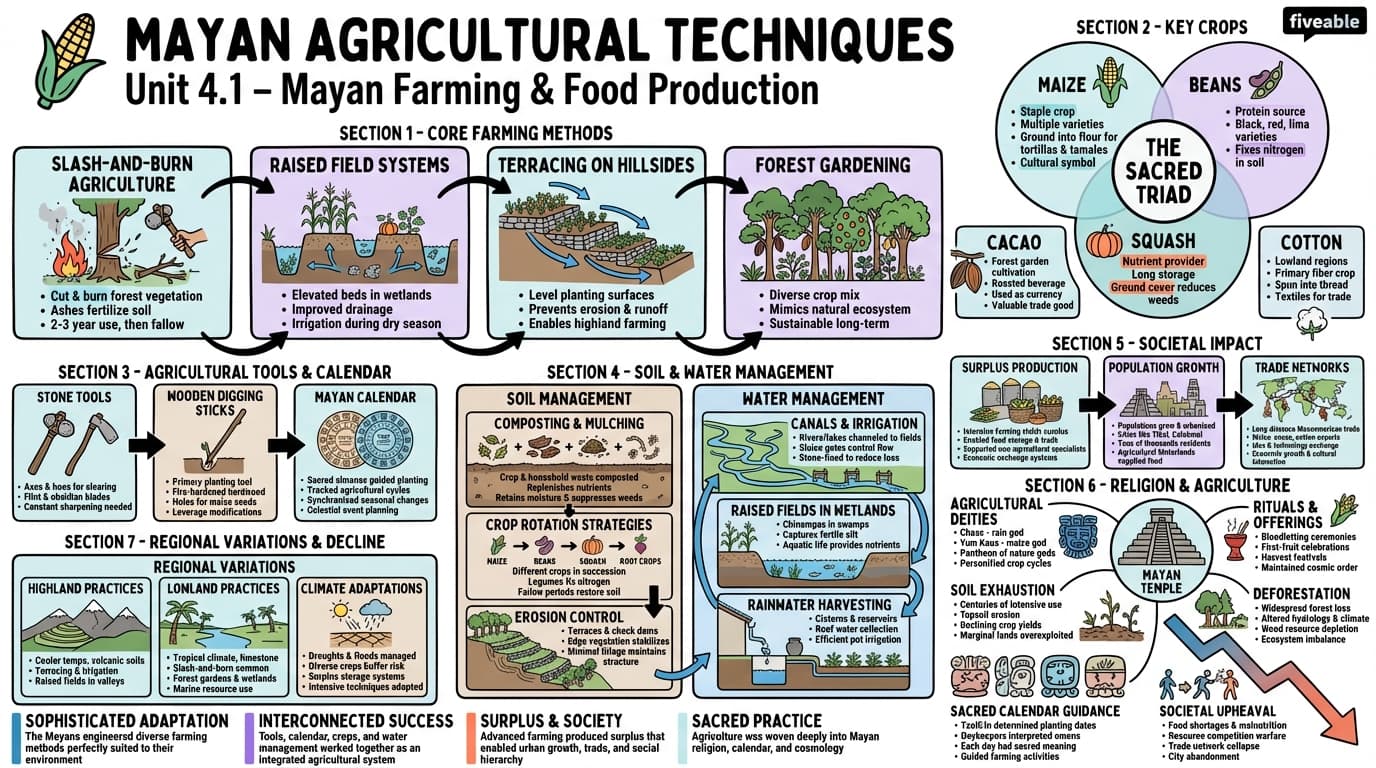 4.1 Mayan agricultural techniques - Mayan Civilization History - Unit 4 visual cheatsheet