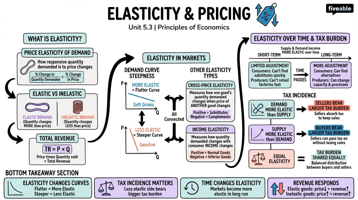 5.3 Elasticity and Pricing - Principles of Economics - Unit 5 visual cheatsheet