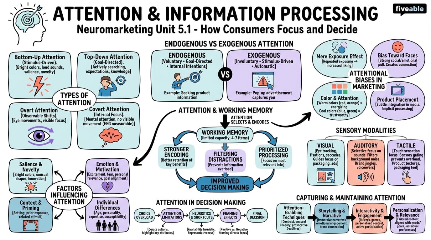 5.1 Attention and information processing - Neuromarketing - Unit 5 visual cheatsheet