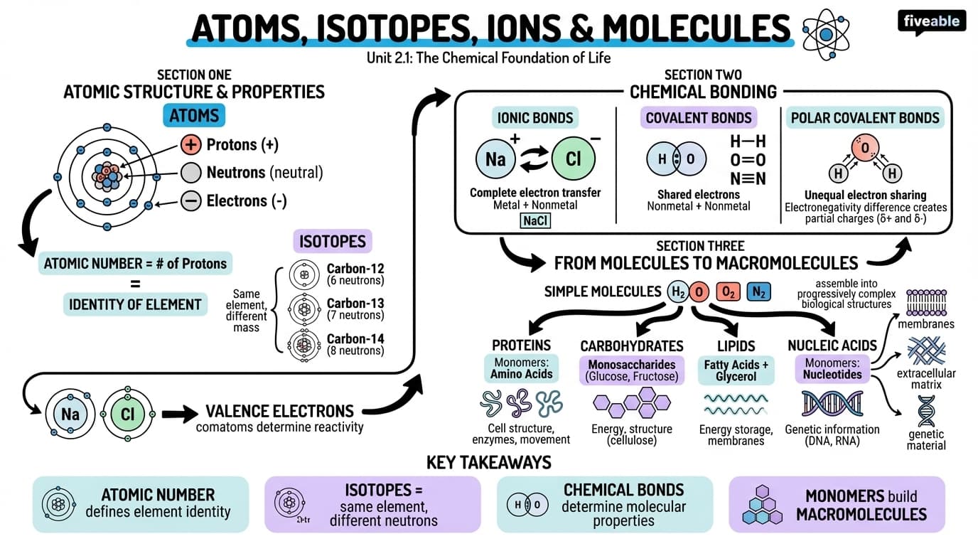 2.1 Atoms, Isotopes, Ions, and Molecules: The Building Blocks - General Biology I - Unit 2 visual cheatsheet