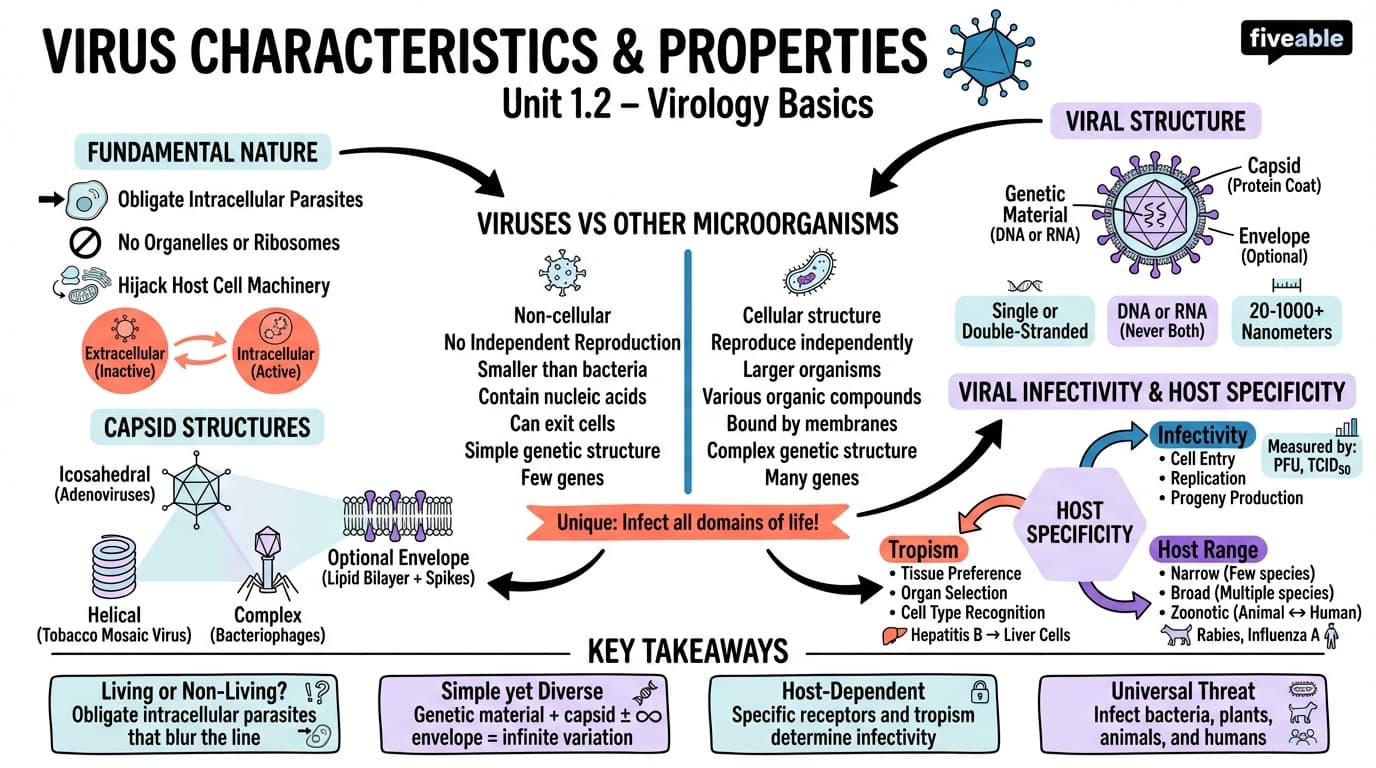 1.2 Virus characteristics and properties - Virology - Unit 1 visual cheatsheet