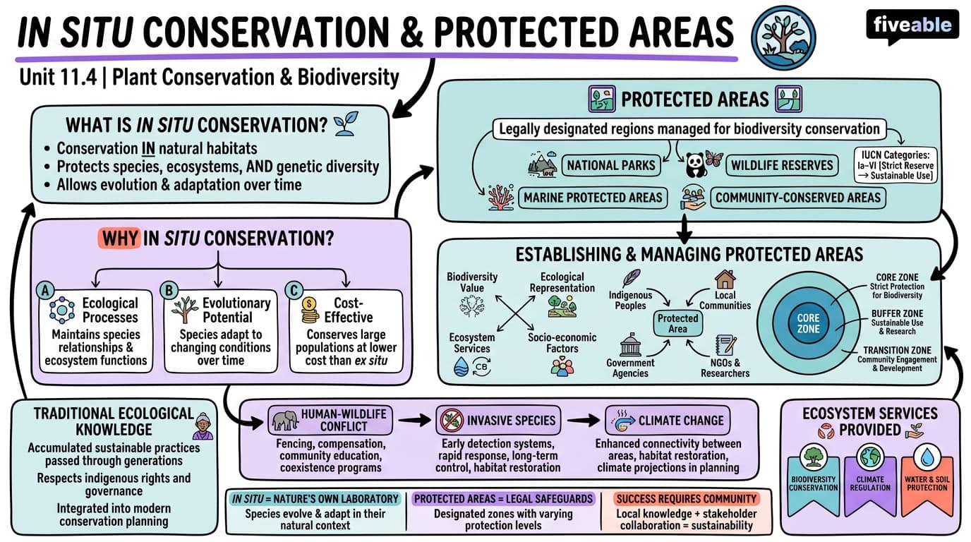 11.4 In situ conservation and protected areas - Intro to Botany - Unit 11 visual cheatsheet