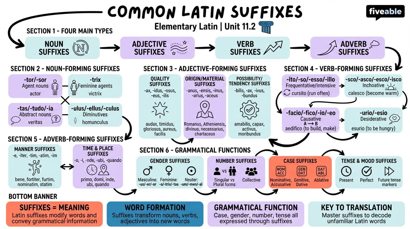11.2 Common Latin suffixes - Elementary Latin - Unit 11 visual cheatsheet