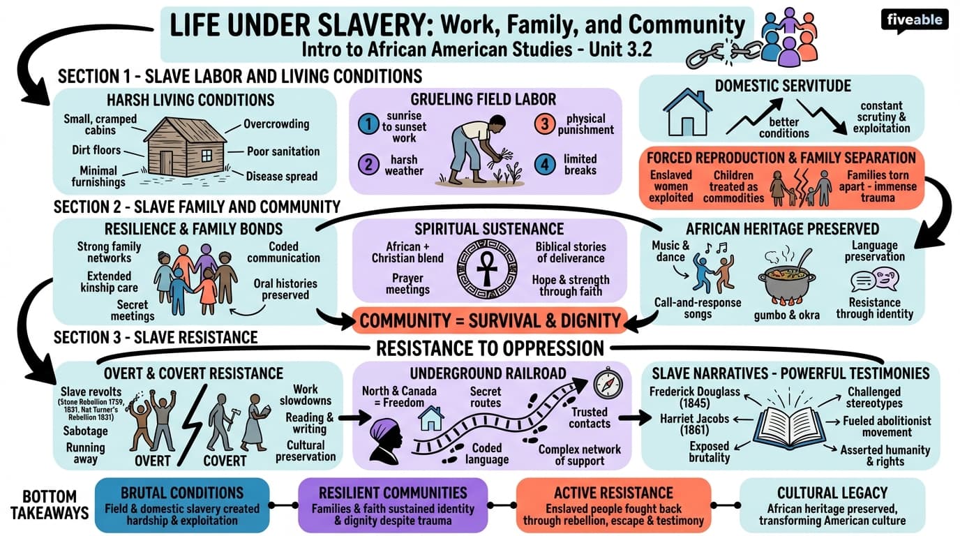 3.2 Life Under Slavery: Work, Family, and Community - Intro to African American Studies - Unit 3 visual cheatsheet