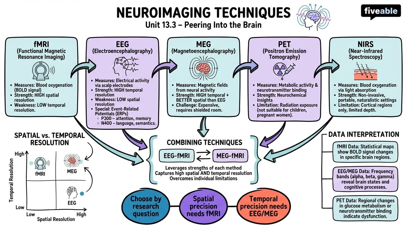 13.3 Neuroimaging techniques (e.g., fMRI, EEG, MEG) - Neuroscience - Unit 13 visual cheatsheet