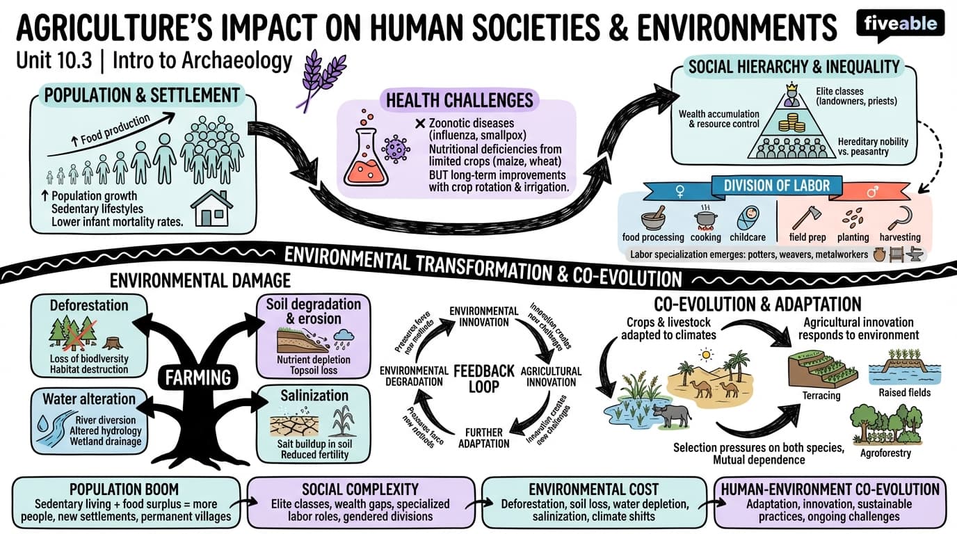 10.3 Impact of Agriculture on Human Societies and Environments - Intro to Archaeology - Unit 10 visual cheatsheet