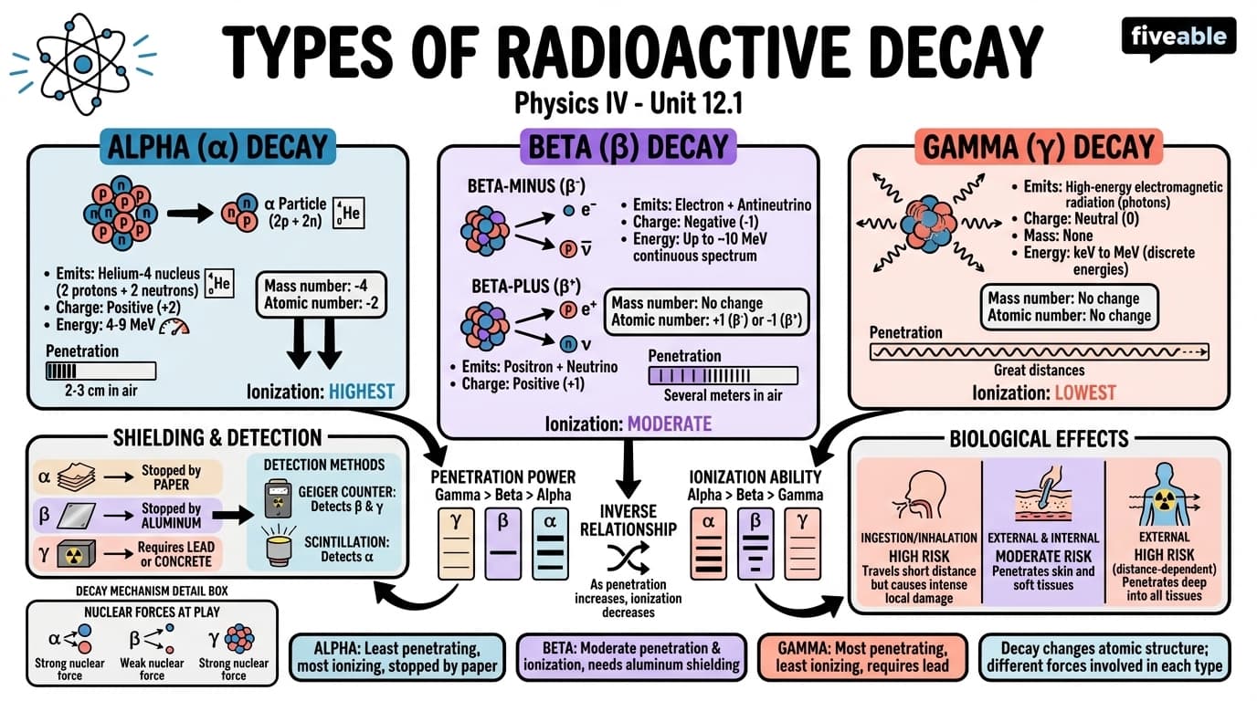 12.1 Types of radioactive decay (alpha, beta, gamma) - Principles of Physics IV - Unit 12 visual cheatsheet