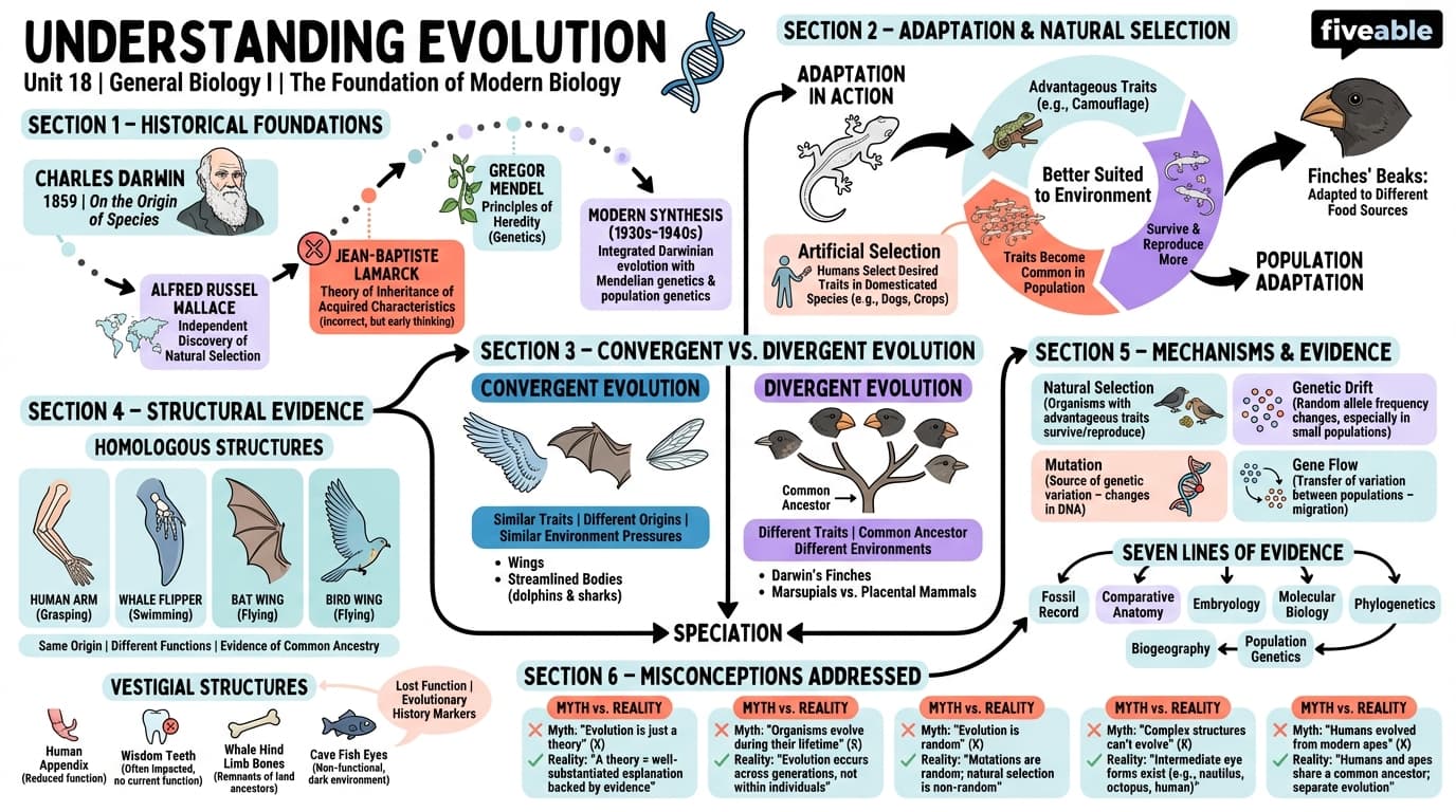 18.1 Understanding Evolution - General Biology I - Unit 18 visual cheatsheet
