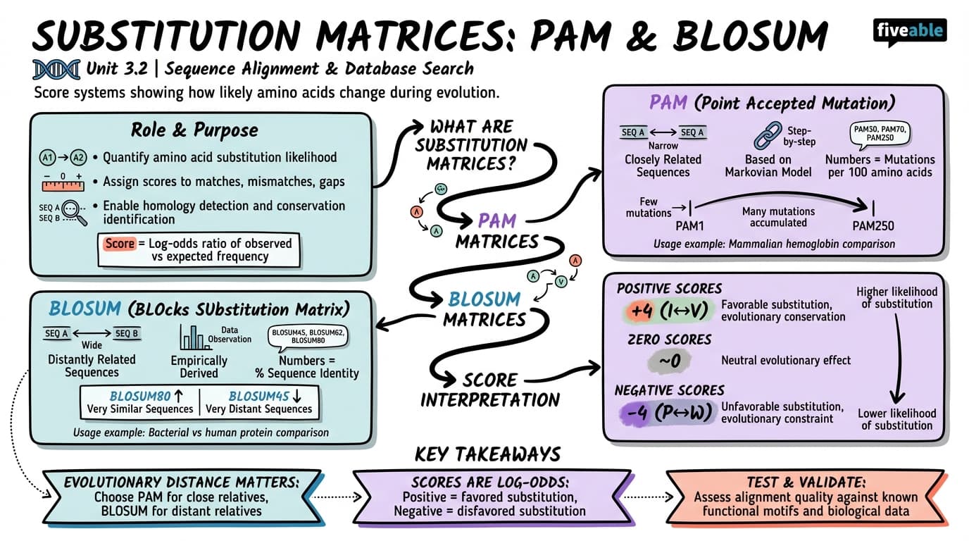 3.2 Substitution matrices (PAM, BLOSUM) - Computational Biology - Unit 3 visual cheatsheet