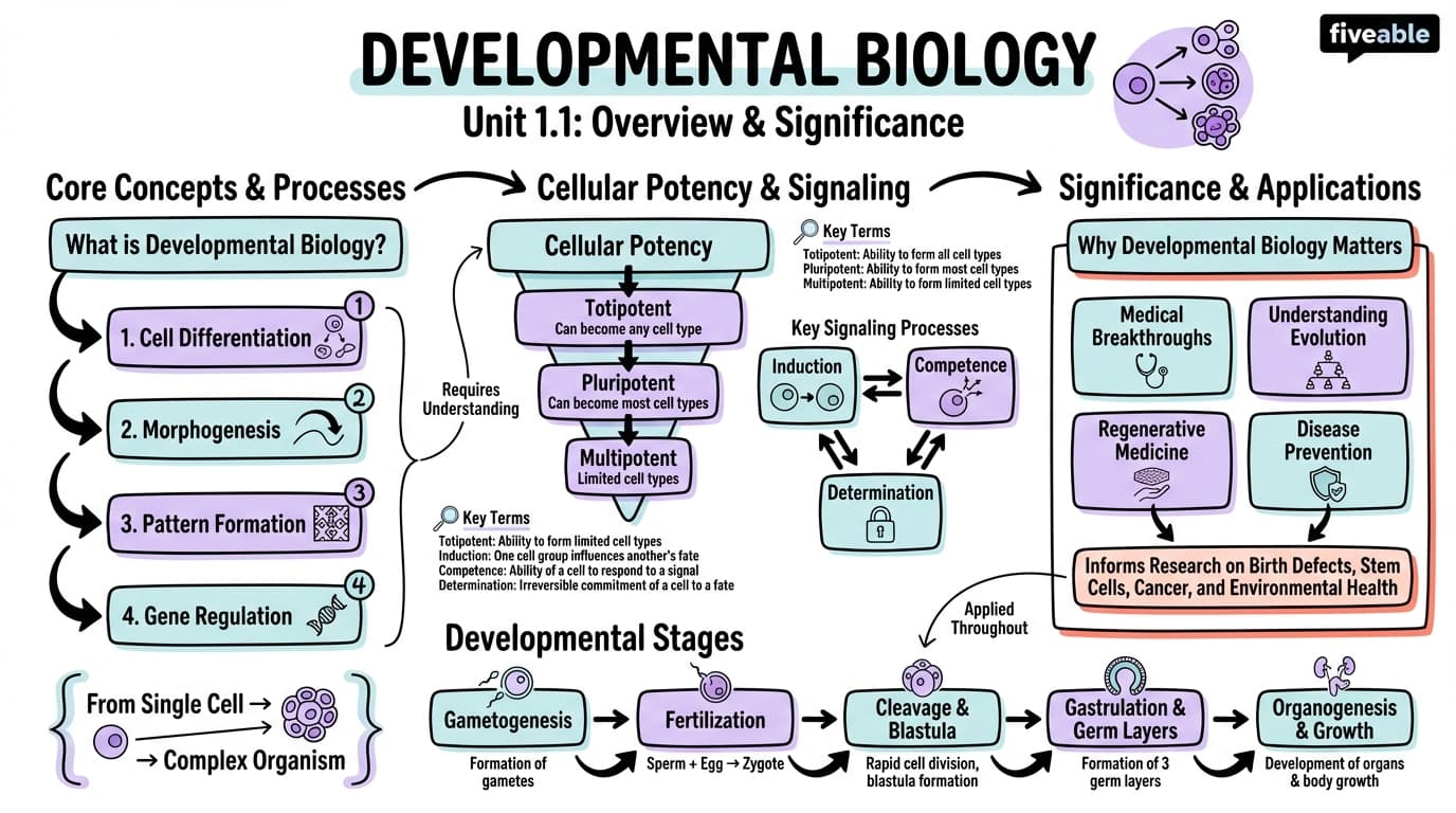 1.1 Overview of developmental biology and its significance - Developmental Biology - Unit 1 visual cheatsheet
