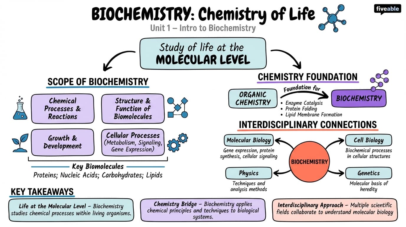1.1 Fundamentals of biochemistry and its relationship to other sciences - Biological Chemistry I - Unit 1 visual cheatsheet