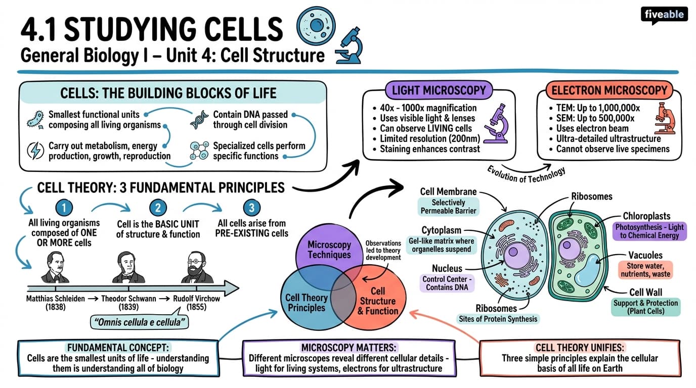 4.1 Studying Cells - General Biology I - Unit 4 visual cheatsheet