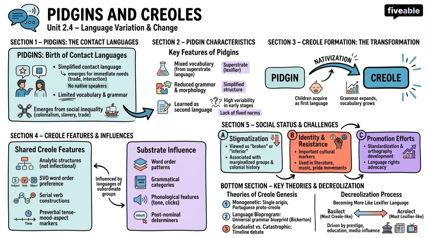 2.4 Pidgins and creoles - Intro to Sociolinguistics - Unit 2 visual cheatsheet