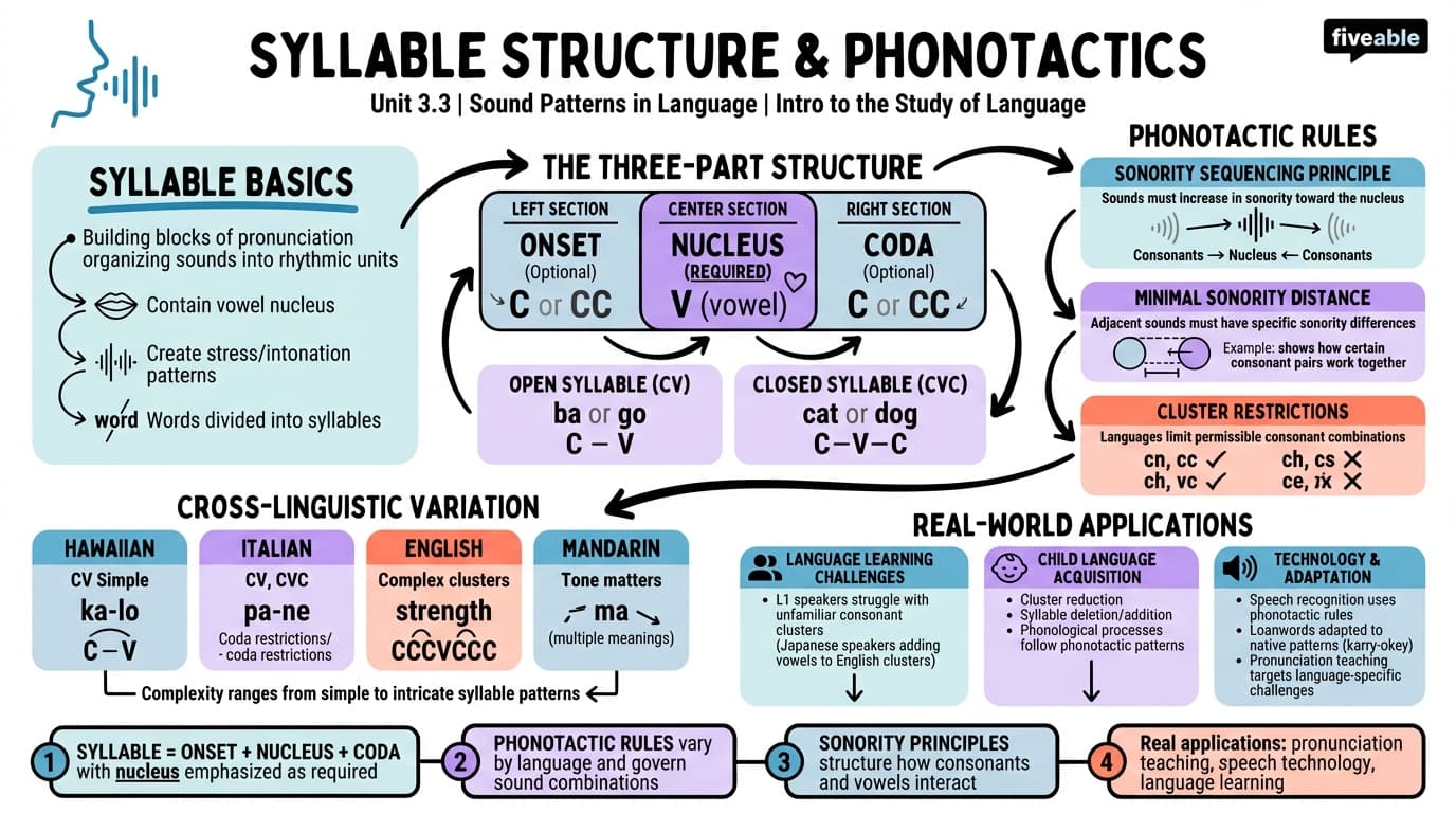 3.3 Syllable structure and phonotactics - Intro to the Study of Language - Unit 3 visual cheatsheet