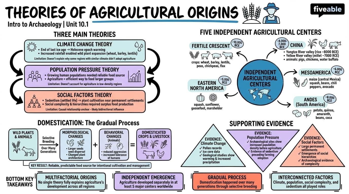 10.1 Theories of Agricultural Origins - Intro to Archaeology - Unit 10 visual cheatsheet
