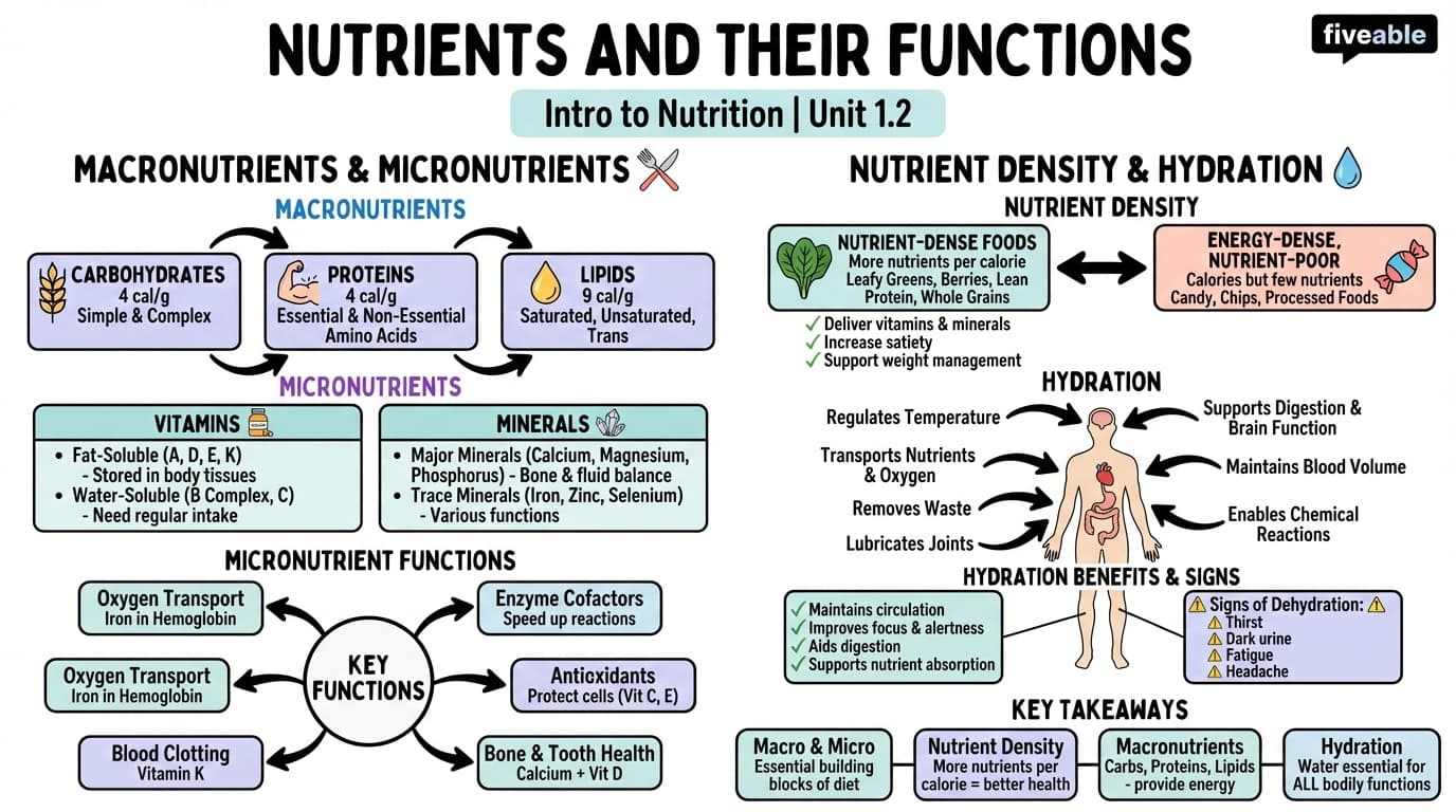 1.2 Nutrients and Their Functions - Intro to Nutrition - Unit 1 visual cheatsheet