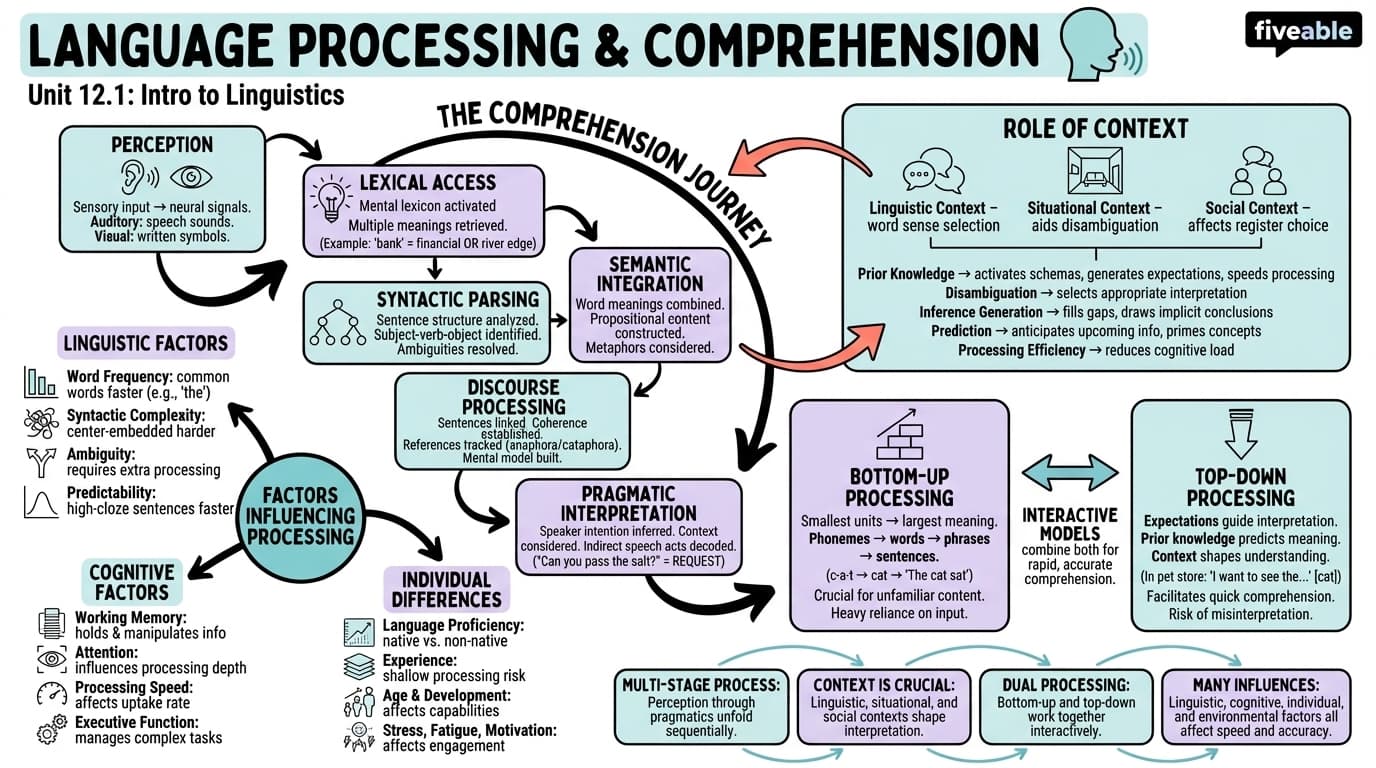 12.1 Language processing and comprehension - Intro to Linguistics - Unit 12 visual cheatsheet