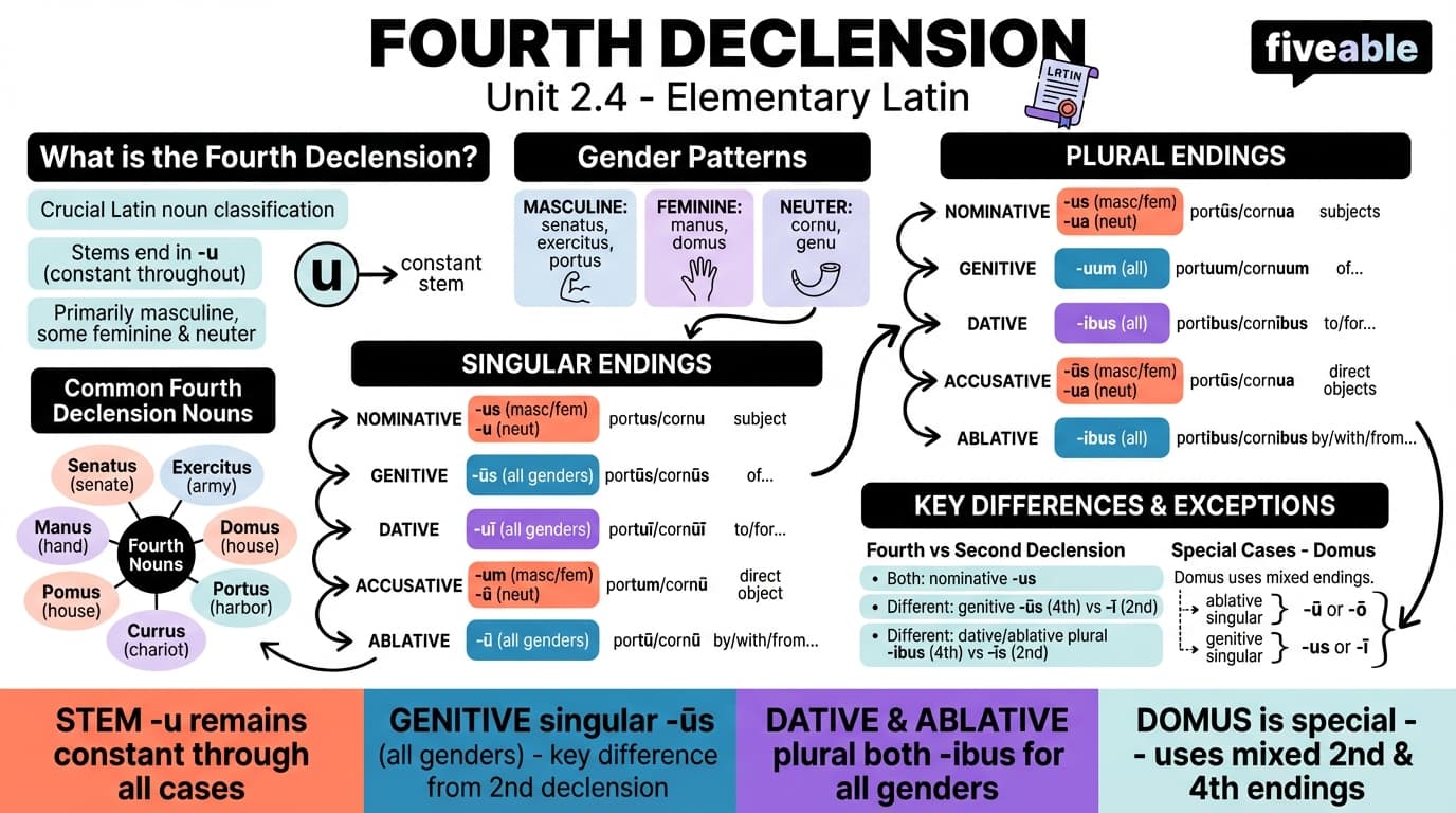 2.4 Fourth declension - Elementary Latin - Unit 2 visual cheatsheet