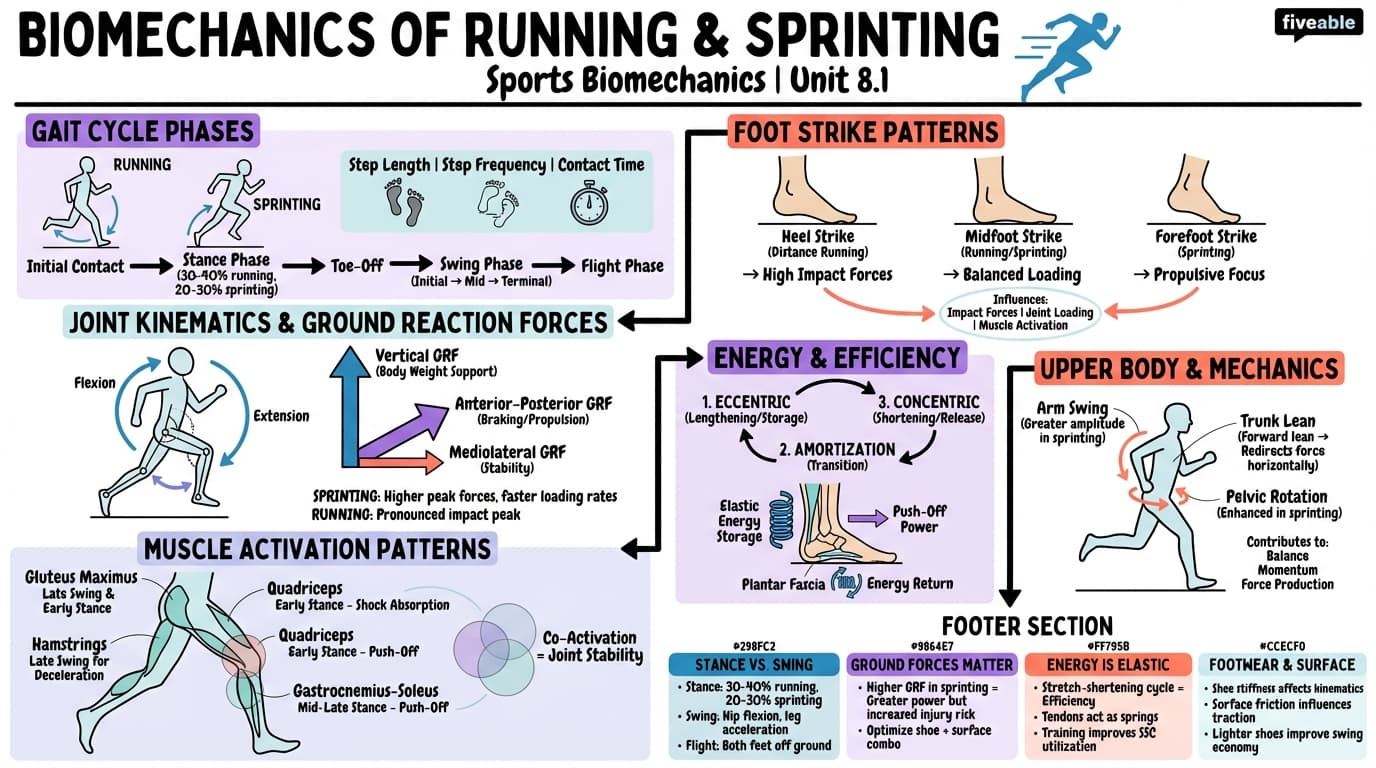 8.1 Biomechanics of running and sprinting - Sports Biomechanics - Unit 8 visual cheatsheet