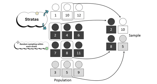 Random Sampling and Data Collection - AP Stats Study Guide... | Fiveable