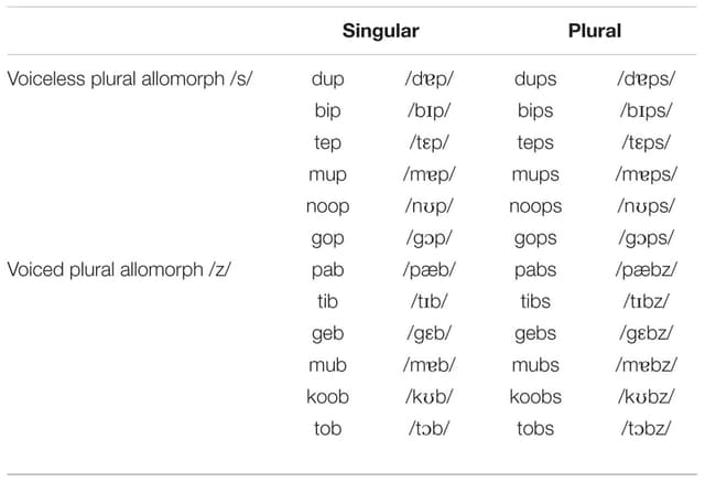 Two Allomorphs Examples Allomorphs and morphological analysis | Intro to English... | Fiveable