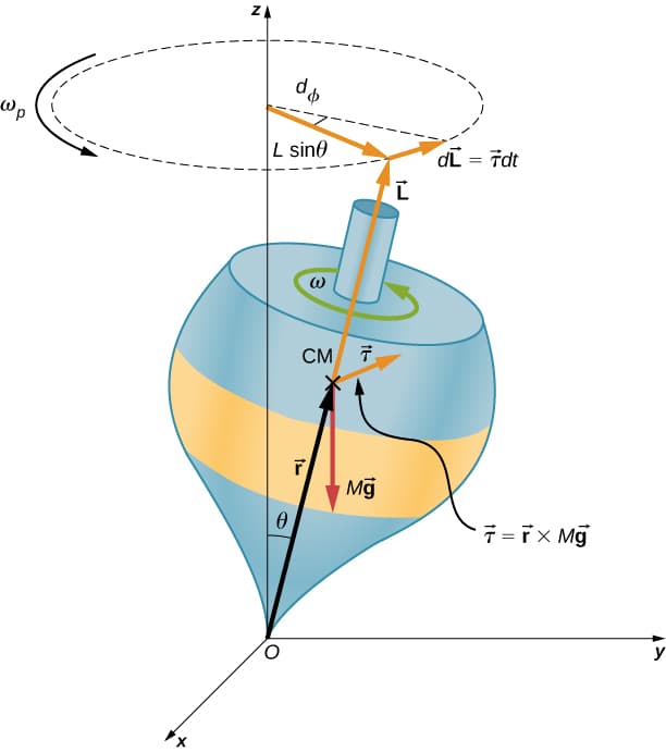 Precession Model Precession | Engineering Mechanics – Dynamics Class Notes | Fiveable