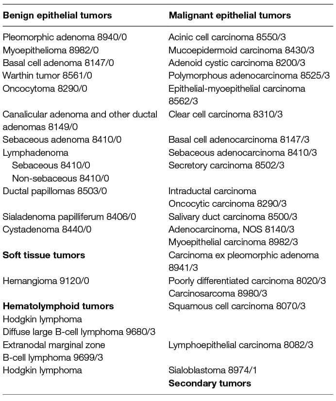 Classification and Staging of Neoplasms | Pathophysiological Concepts ...