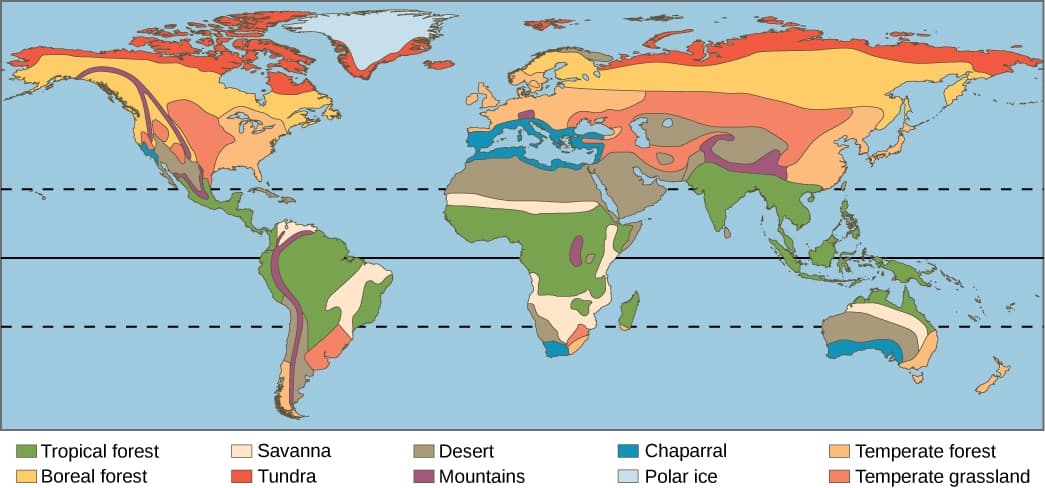 Mapping Biomes Biomes and vegetation distribution | Climatology Class... | Fiveable