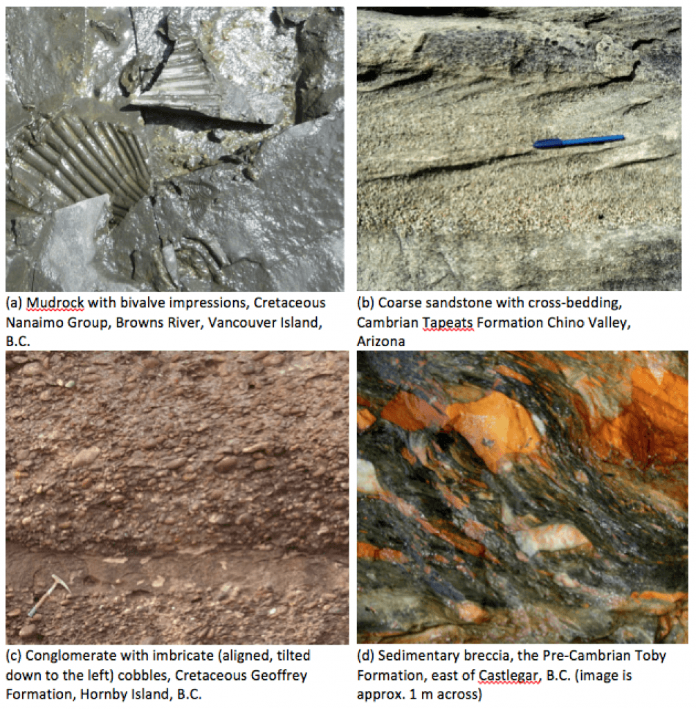 Ssedimentary Rocks Classification of sedimentary rocks | Intro to Geology Class Notes ...