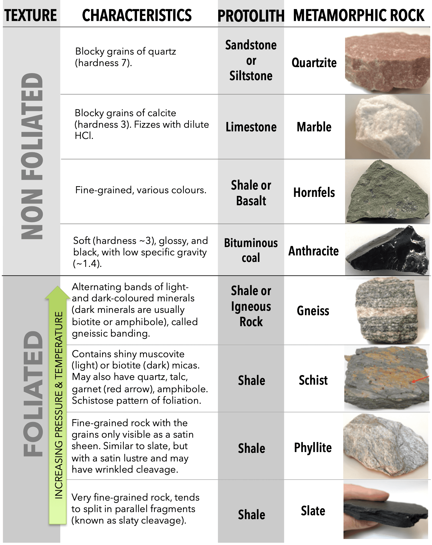 Classification of metamorphic rocks | Intro to Geology... | Fiveable