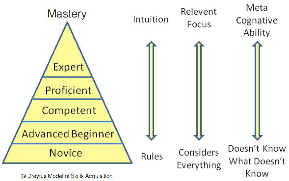Motor Learning Chart Cognitive Stage | Motor Learning and Control Class Notes |... | Fiveable