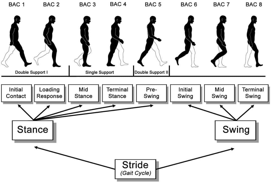 Cognitive Motor Learning Cognitive Stage | Motor Learning and Control Class Notes | Fiveable