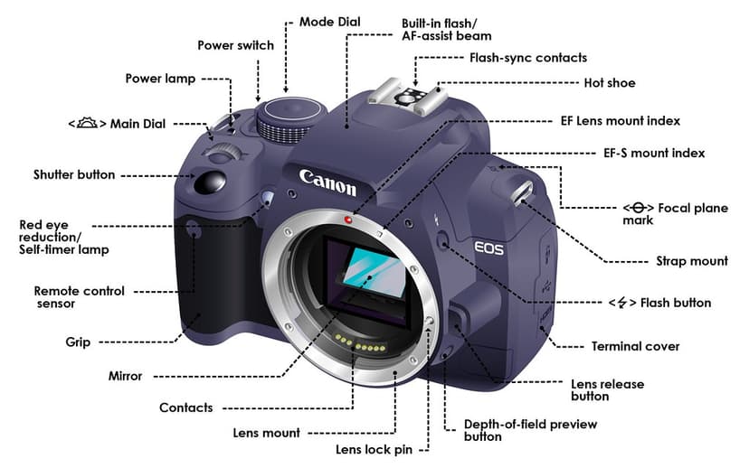 Components and functions of a digital camera | Intro to Digital ...
