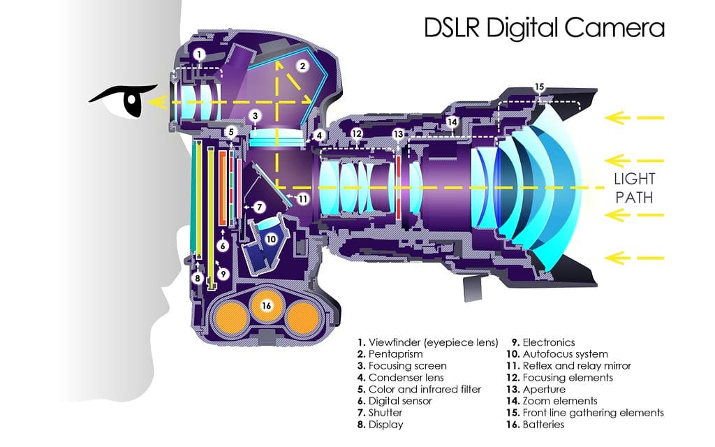 Components and functions of a digital camera | Intro to Digital ...