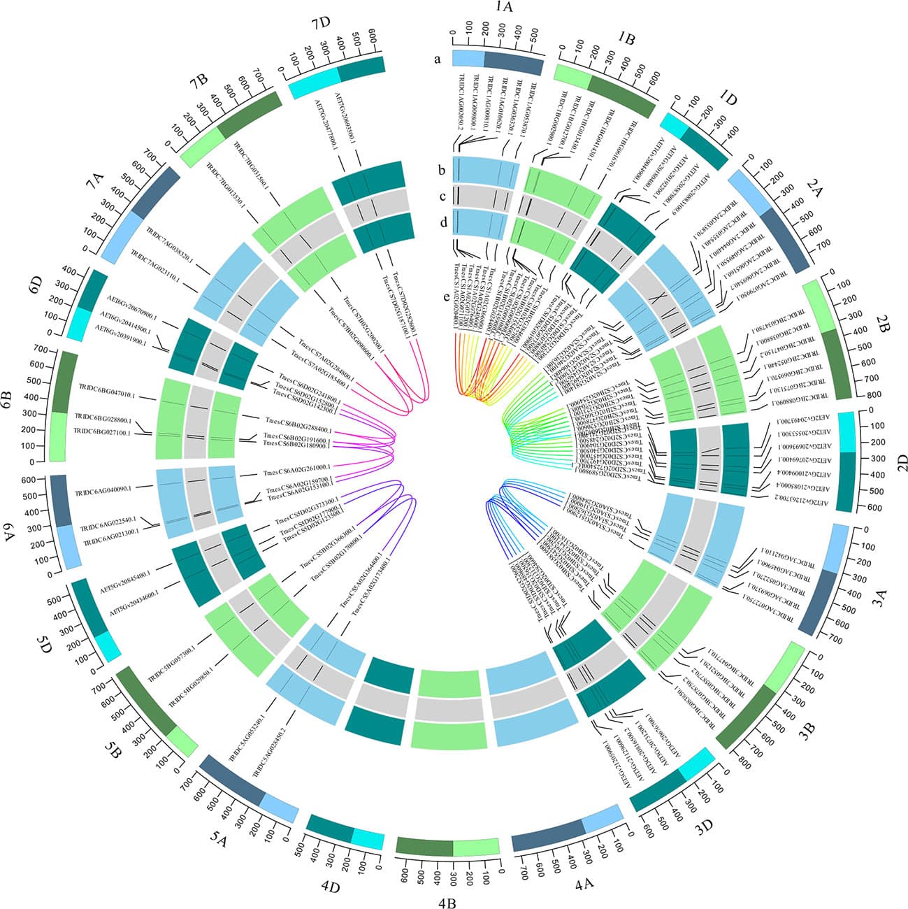 Synteny Graph Synteny analysis | Bioinformatics Class Notes | Fiveable