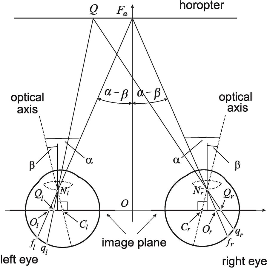 Binocular disparity | Perception Class Notes