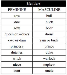 Example 5 Gender Gendered language and linguistic sexism | Intro to Gender... | Fiveable