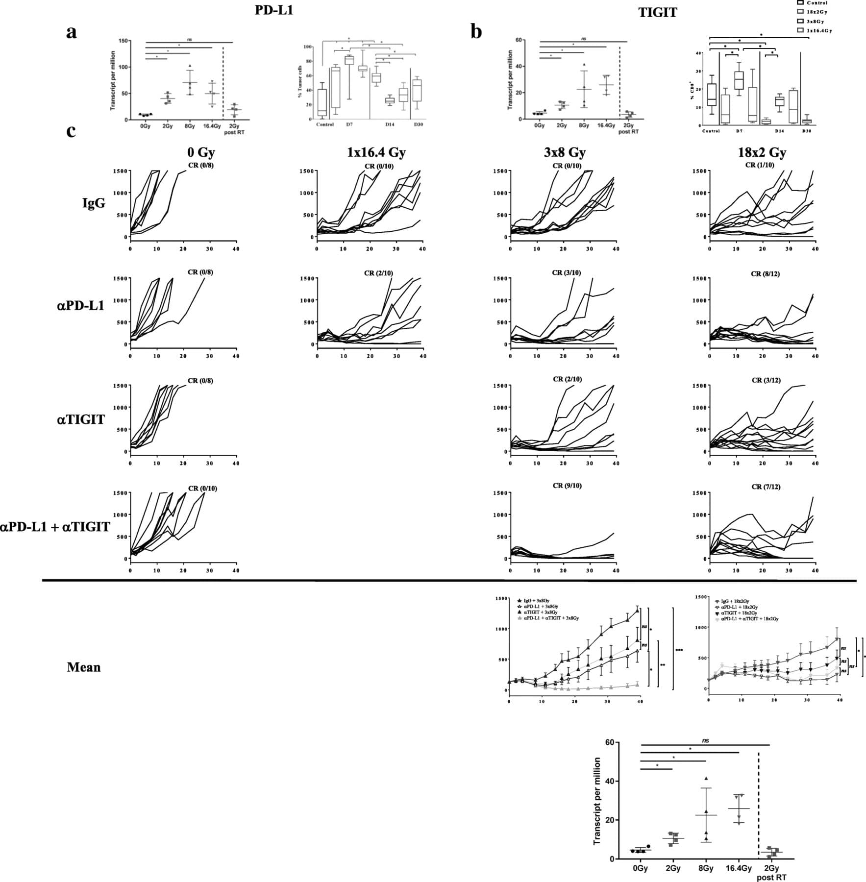 Dose fractionation and radiobiological modeling |... | Fiveable