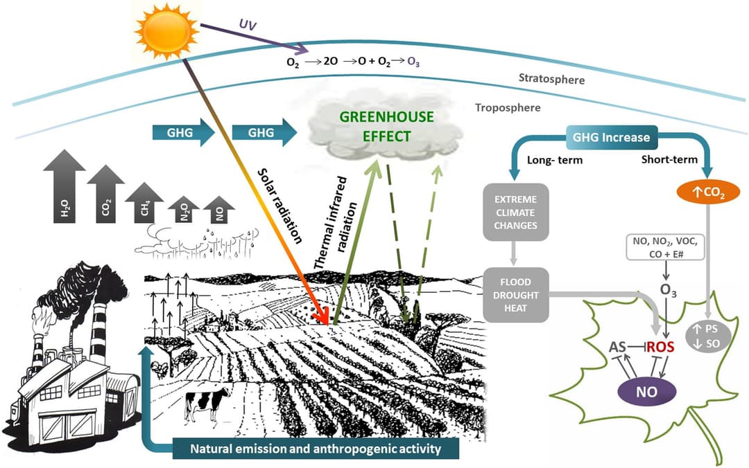 Climate Change Url Climate change and sustainability | Honors World History... | Fiveable