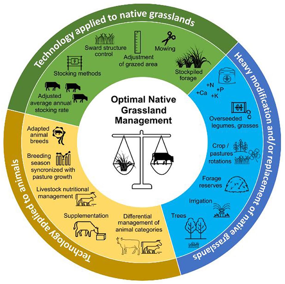 Native Environmental Monitoring Methods Environmental issues and resource management | Native American History ...