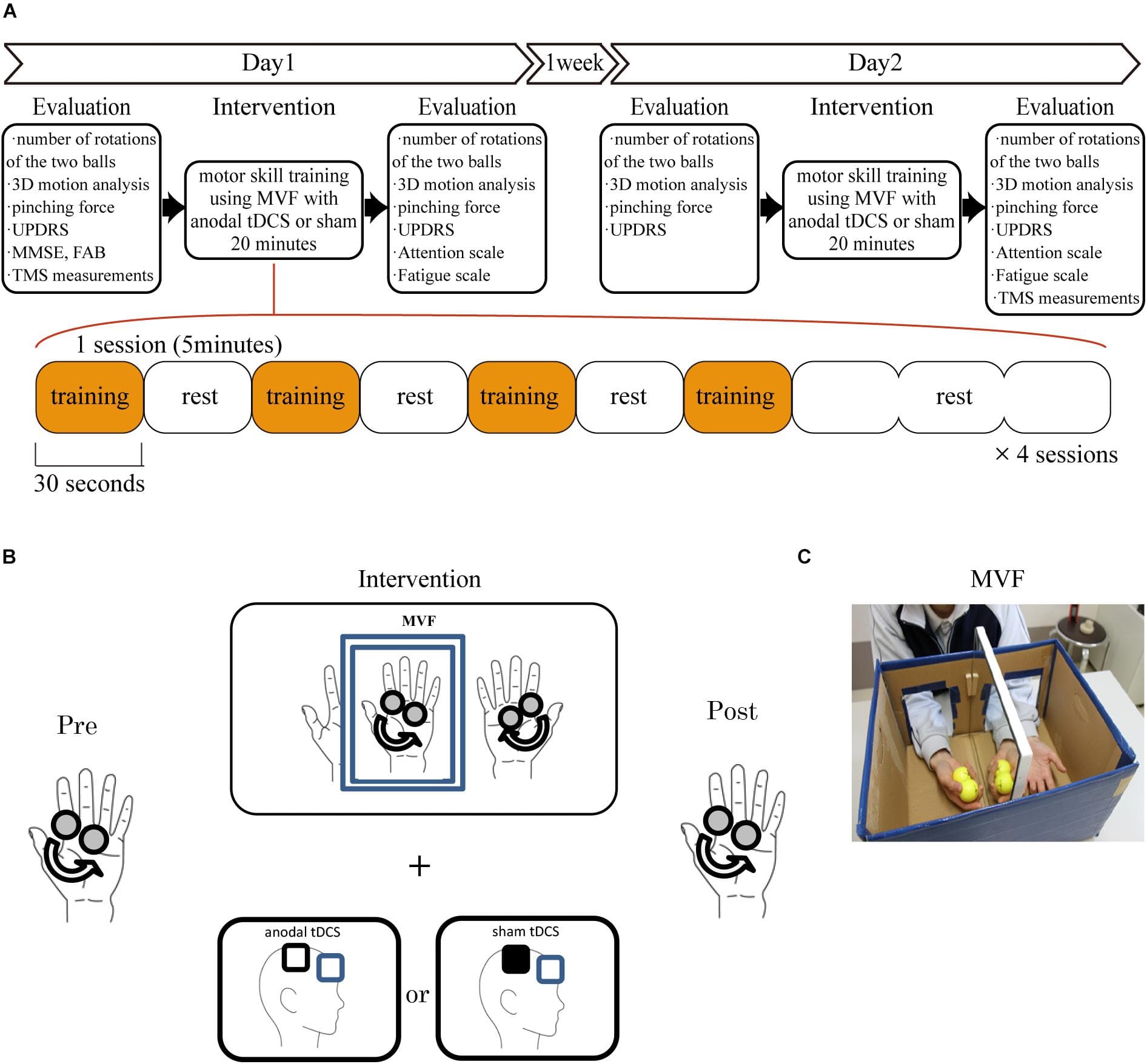 Timing and Frequency of Feedback | Motor Learning and... | Fiveable